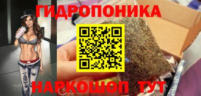 гидра Лесосибирск