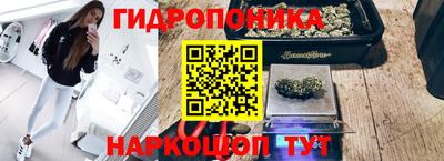 гидра Лесосибирск